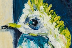 Woodcock