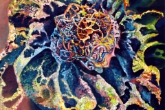 Enigma