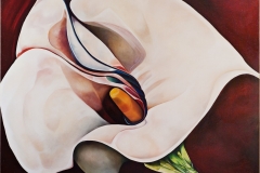 Renaissance du creator